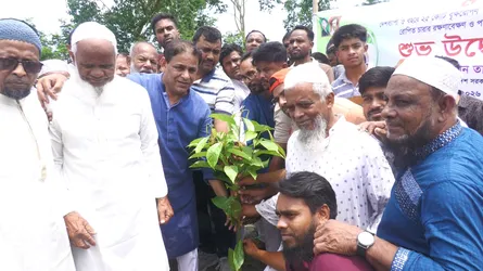 ডাসারে বৃক্ষরোপণ কর্মসূচি উদ্বোধন