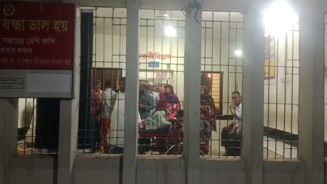 মাদারীপুরে ইজিবাইক খাদে পড়ে বাবা নিহত, মা মেয়েসহ আহত ৪
