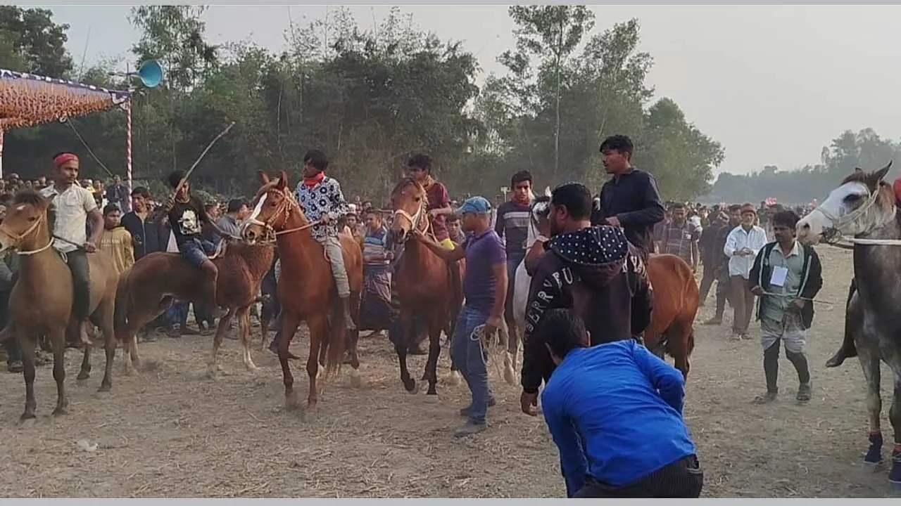 মধুপুরে ঘোড়দৌড় প্রতিযোগিতা