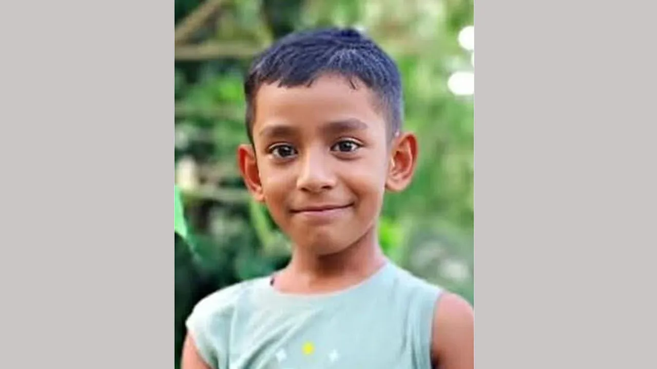 মিরসরাইয়ে পেটে ছাদের রড ঢুকে মাদরাসাছাত্রের মৃত্যু