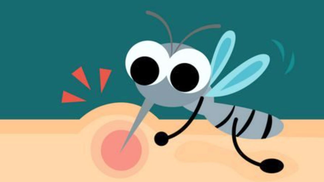 Malaria