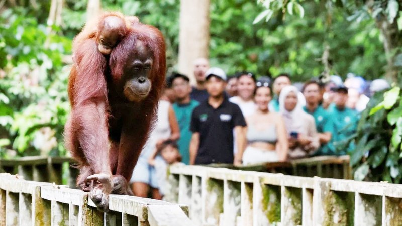 Malaysia Tourism-03