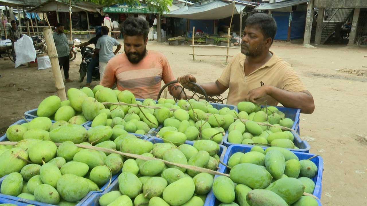 Mango-Raj-15-5