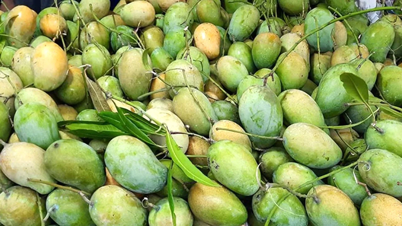 চলতি মাসেই চীনে আম রফতানি শুরু