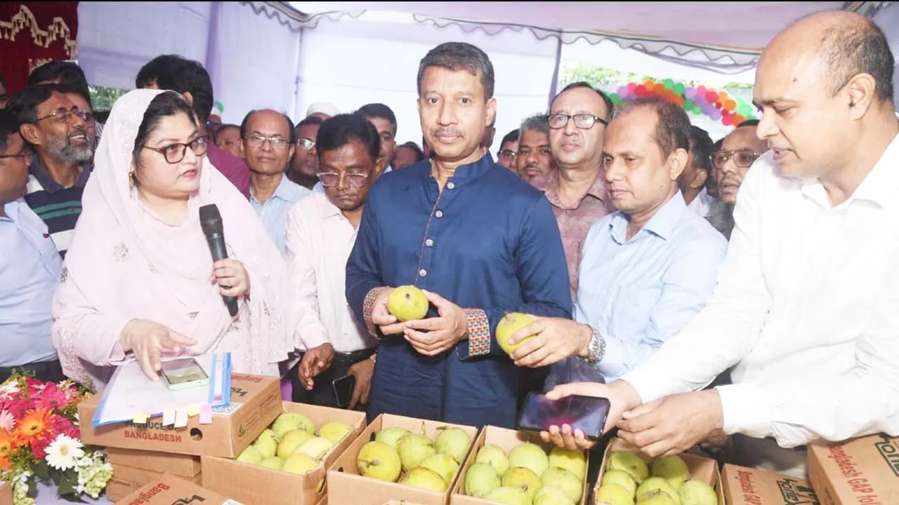 হর্টেক্স-পার্টনার প্রকল্পের আমের বিপণন শুরু