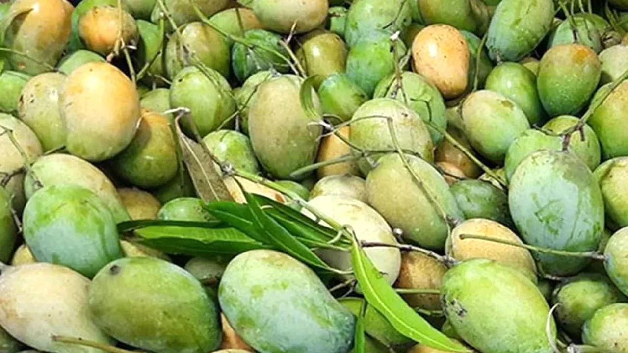 চীনে আম রফতানি প্রধান উপদেষ্টার বেইজিং সফরের গুরুত্বপূর্ণ সাফল্য
