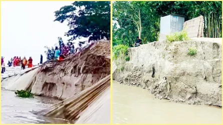 মানিকগঞ্জে পদ্মা-যমুনার তীব্র নদী ভাঙন, হুমকিতে শিক্ষাপ্রতিষ্ঠান-বাজার