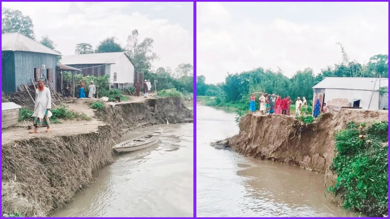 যমুনার ভয়াবহ ভাঙন : ভিটেমাটি হারিয়ে খোলা আকাশের নিচে বহু পরিবার