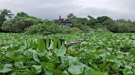 গজারিয়ার স্যুটার মান্নান প্রতিপক্ষের গুলিতে নিহত, আহত ৬