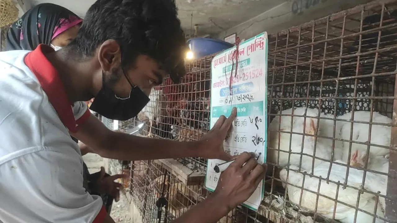 খাগড়াছড়িতে বাজার মনিটরিং টাস্কফোর্সের অভিযান, কমলো মুরগির দাম