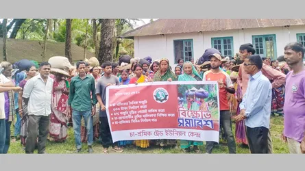 মজুরি বৃদ্ধির দাবিতে চা-শ্রমিকদের কর্মবিরতি ও বিক্ষোভ সমাবেশ