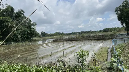 মৌলভীবাজারে সাম্প্রতিক বন্যায় প্রায় শতকোটি টাকার ক্ষতি