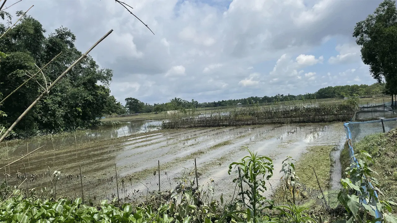 মৌলভীবাজারে সাম্প্রতিক বন্যায় প্রায় শতকোটি টাকার ক্ষতি