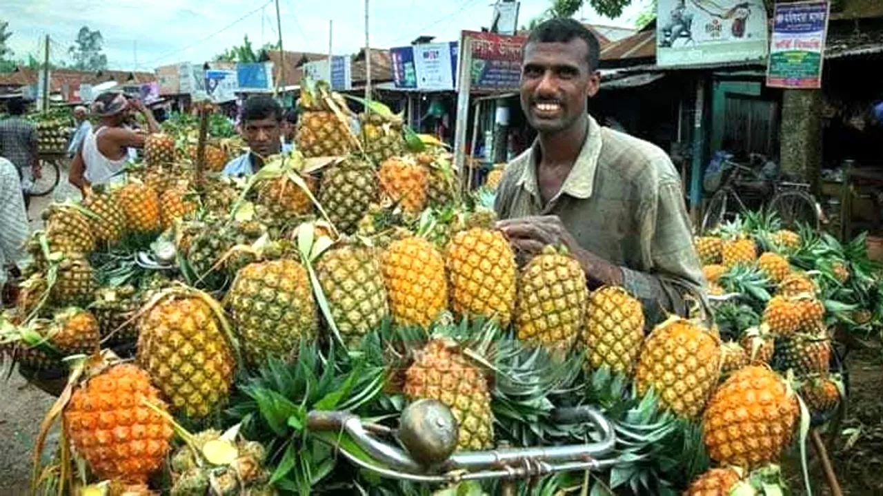 দে‌শের গণ্ডি পে‌রি‌য়ে ময়মনসিংহের আনারস যাচ্ছে দুবাইয়ে