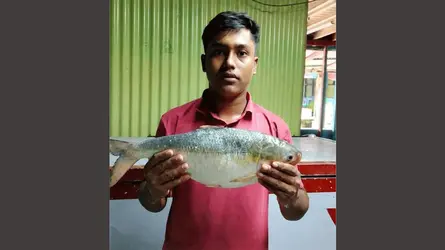 মেঘনায় জেলের জালে ২ কেজি ওজনের ইলিশ