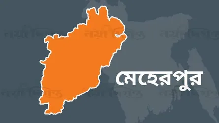 মেহেরপুরে ট্রাকচাপায় মোটরসেইকেল-আরোহী নিহত