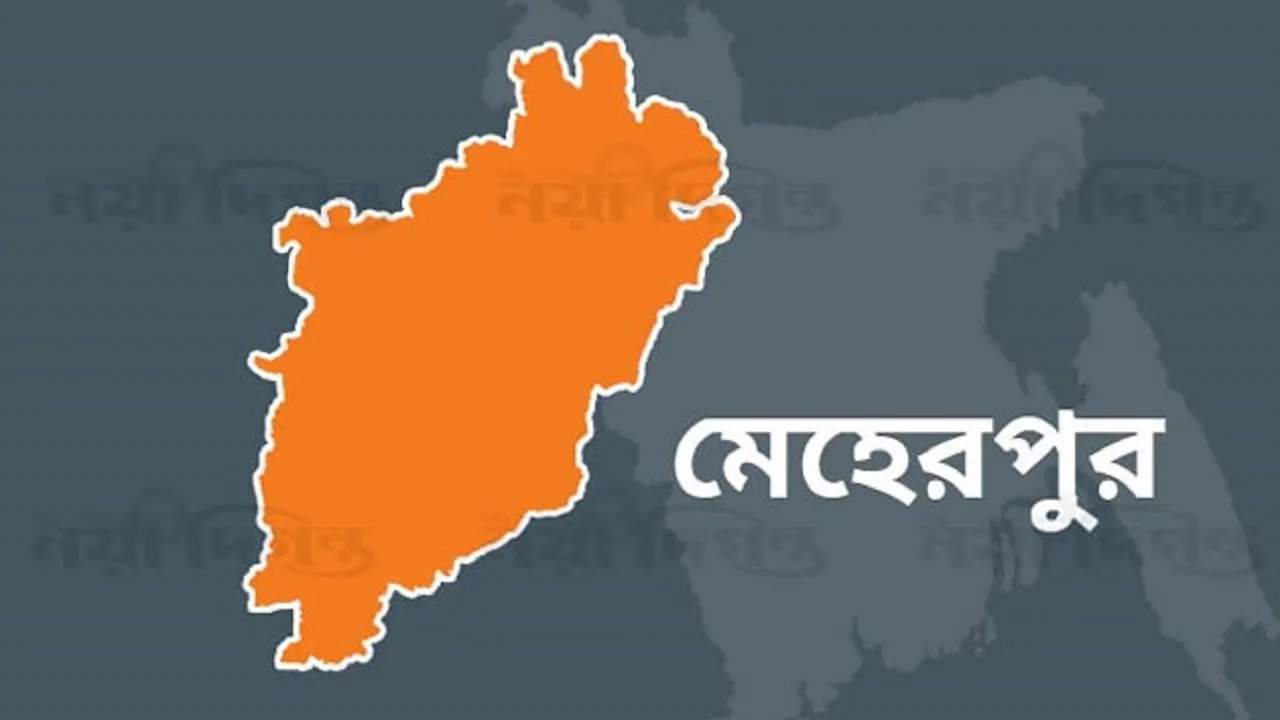 গাংনীতে ইটভাটায় মাটি নামাতে গিয়ে বিদ্যুৎস্পৃষ্টে চালকের মৃত্যু
