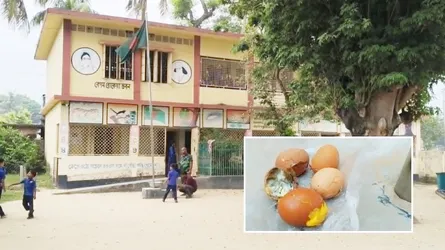 গাংনীতে শিক্ষার্থীদের পচা ডিম দেয়ার সত্যতা পেয়েছে তদন্ত কমিটি