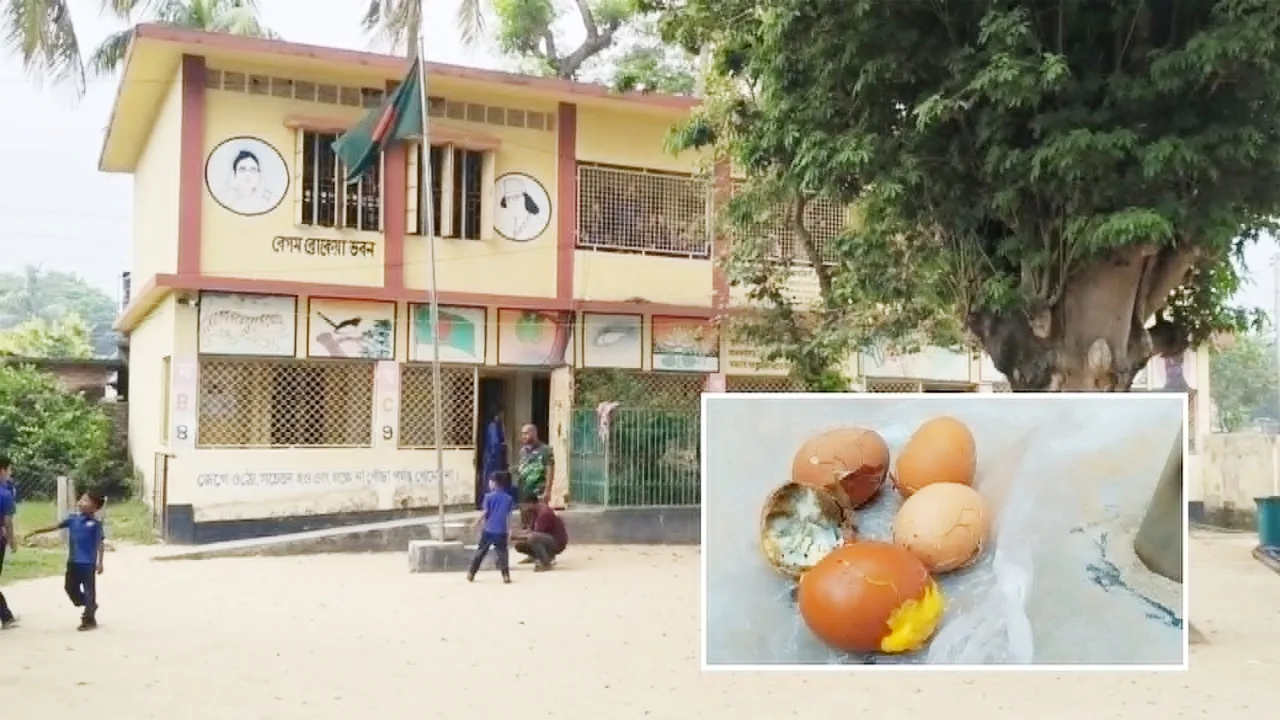 গাংনীতে শিক্ষার্থীদের পচা ডিম দেয়ার সত্যতা পেয়েছে তদন্ত কমিটি