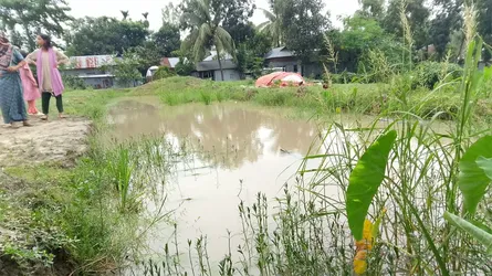মেলান্দহে গর্তে জমে থাকা পানিতে ডুবে শিশুর মৃত্যু