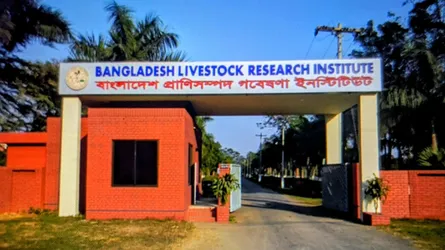 গবেষণার আড়ালে ভ্যাকসিন কেলেঙ্কারি