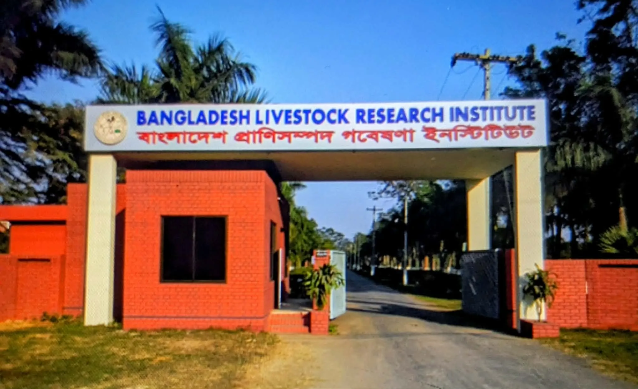 গবেষণার আড়ালে  ভ্যাকসিন কেলেঙ্কারি