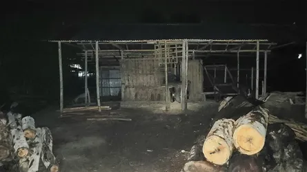 কুড়িগ্রামে মিলে গাছ কাটতে গিয়ে মিস্ত্রির মৃত্যু