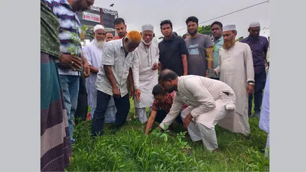 মিরসরাইয়ে শহীদ জিয়া স্মৃতি সংসদের উদ্যোগে বৃক্ষরোপণ