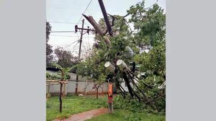 মিরসরাইয়ে কালবৈশাখী ঝড়ে বিদ্যুৎ সংযোগবিহীন ১০ হাজার গ্রাহক