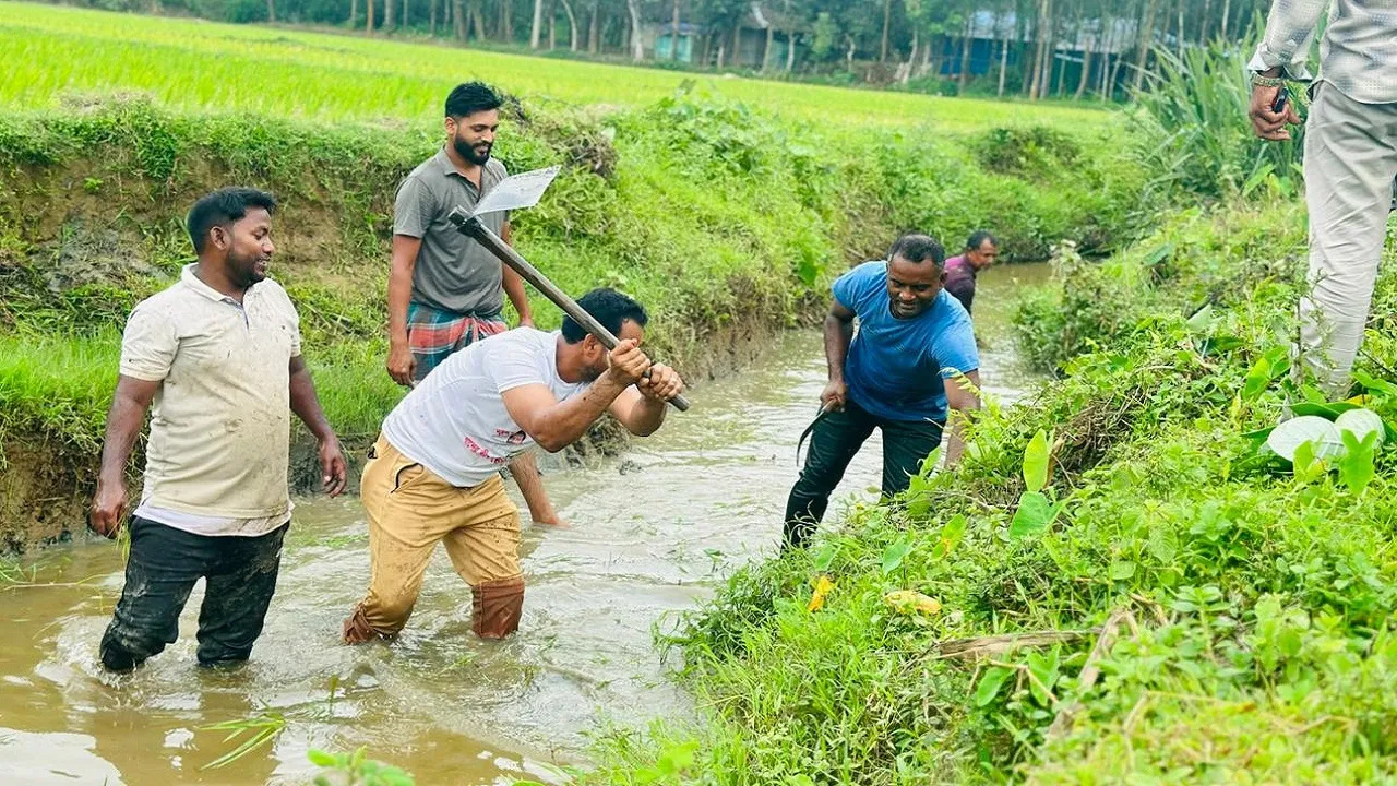 মিরসরাইয়ে কৃষক দলের স্বেচ্ছাশ্রমে খাল খনন ও পরিষ্কার