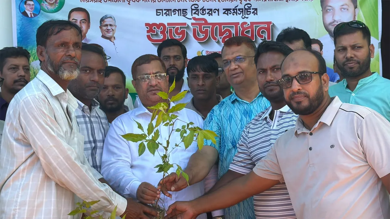 মিরসরাইয়ে কৃষক দলের উদ্যোগে ৮ হাজার চারা বিতরণ