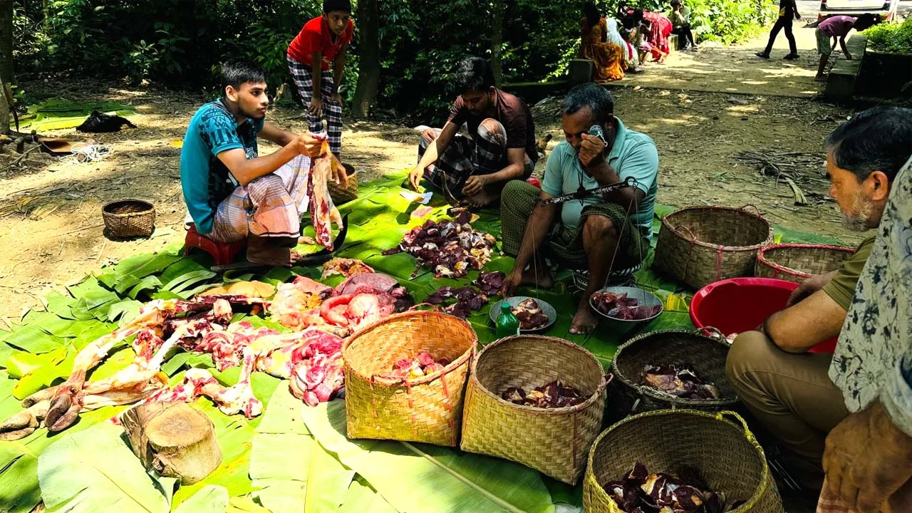 মিরসরাইয়ে পাড়ায় পাড়ায় চলছে কোরবানির উৎসব