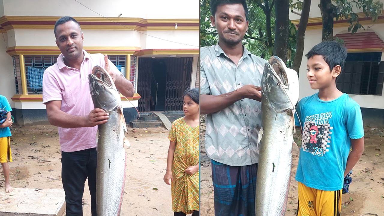 Mirsarai fish