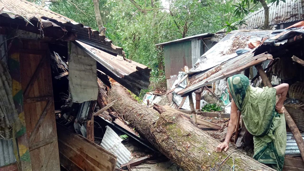 মিরসরাইয়ে কালবৈশাখী ঝড়ের তাণ্ডব, অর্ধশতাধিক ঘরবাড়ি ক্ষতিগ্রস্ত