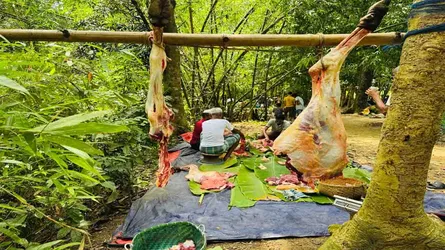 বাড়ি বাড়ি চলছে কোরবানি উৎসব