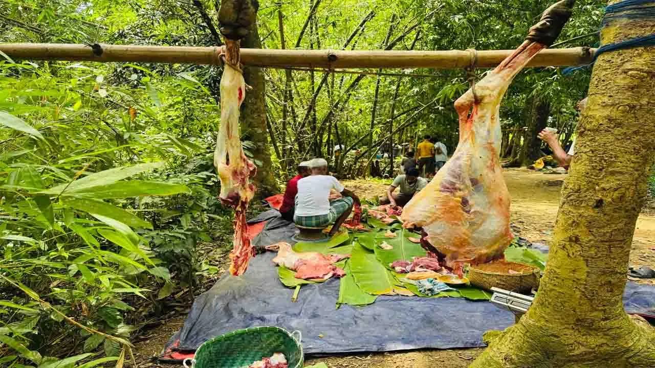 বাড়ি বাড়ি চলছে কোরবানি উৎসব