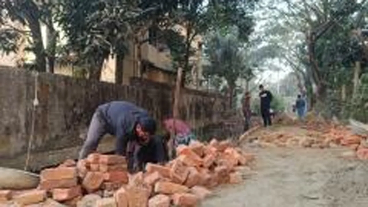 মিরসরাইয় কৃষকদলের স্বেচ্ছায় সড়ক সংস্কার