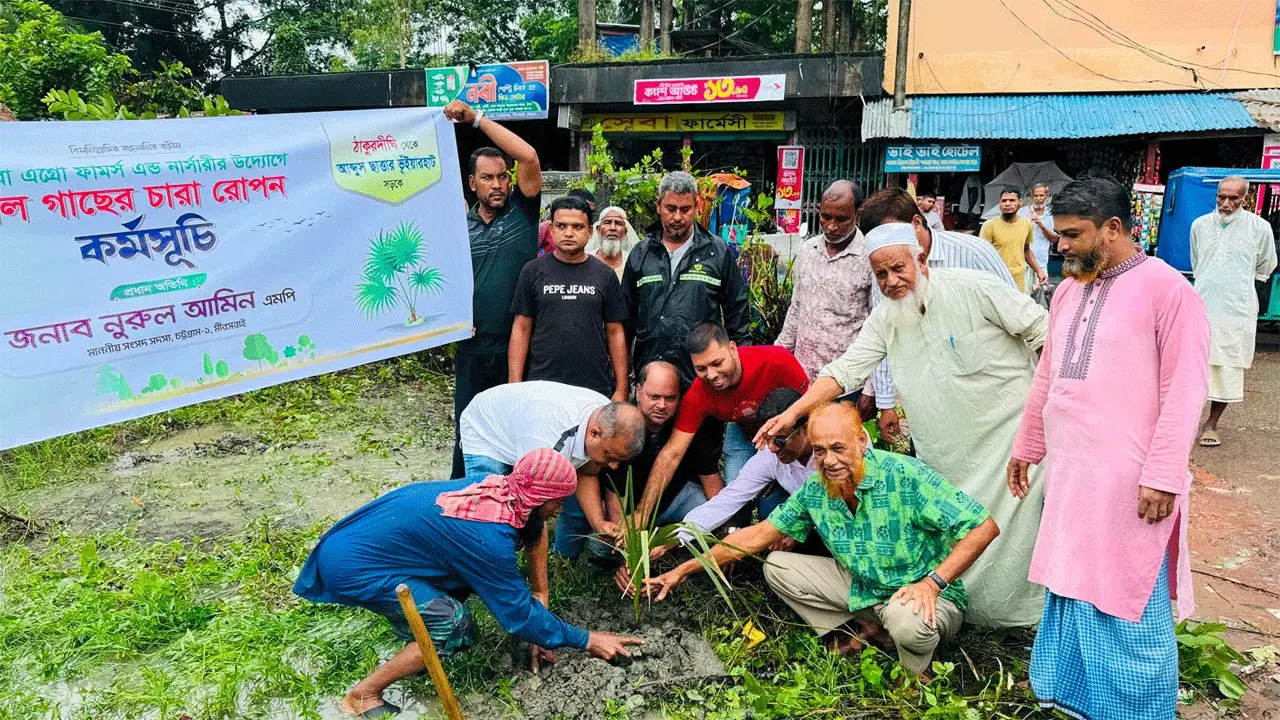 বজ্রপাত রোধে ৫ কিলোমিটার সড়কের পাশে তালগাছ রোপন