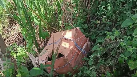 মধুখালীতে ৩টি কার্টনে ৬ টুকরো লাশ উদ্ধার