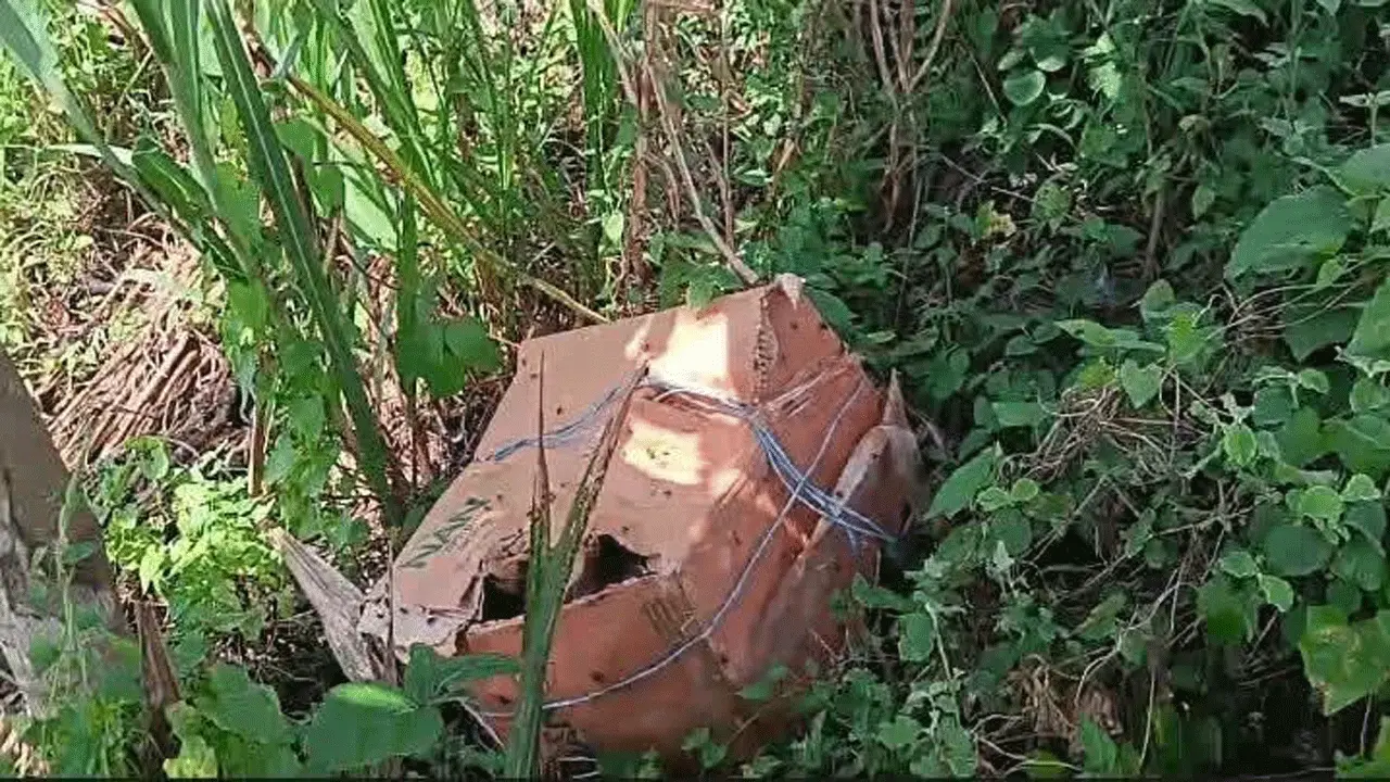 মধুখালীতে ৩টি কার্টনে ৬ টুকরো লাশ উদ্ধার