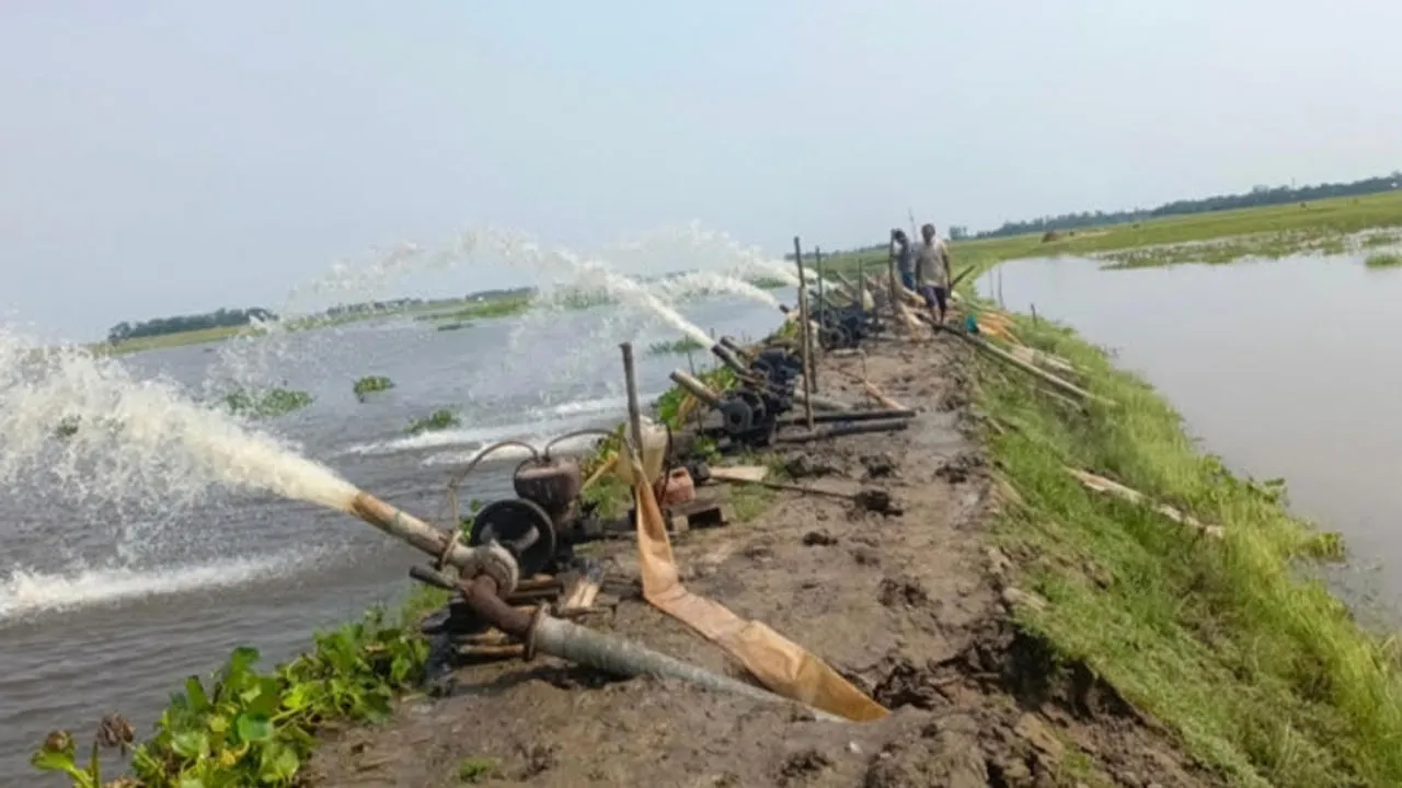 মদনে হাওরবাসীর স্বপ্ন তলিয়ে যাচ্ছে পানিতে