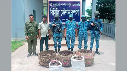 কোস্ট গার্ডের অভিযানে অবৈধ কাঁকড়াসহ আটক ২