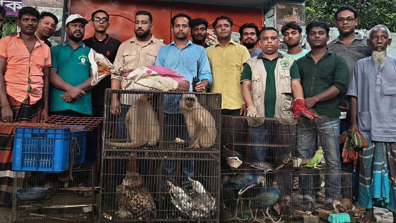মেহেরপুরে মিনি চিড়িয়াখানা থেকে ২৭ বন্যপ্রাণী উদ্ধার