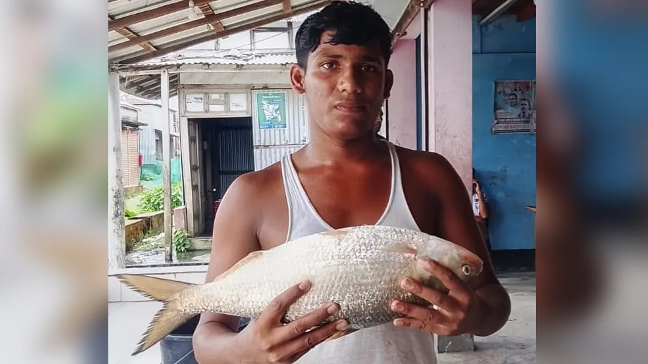 মনপুরায় জেলের জালে ধরা পড়ল দুই কেজির রাজা ইলিশ