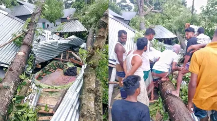 জামালপুরে ঝড়ে গাছচাপায় মা ও দুই মেয়ের মৃত্যু