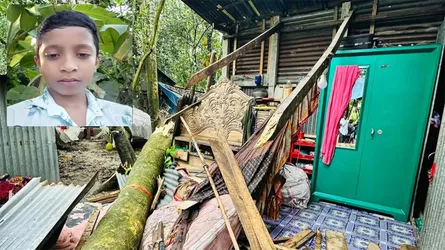 বাবা-মা ঈদে ফিরছিলেন, আগেই গাছচাপায় প্রাণ গেল শিশু ফয়েজের