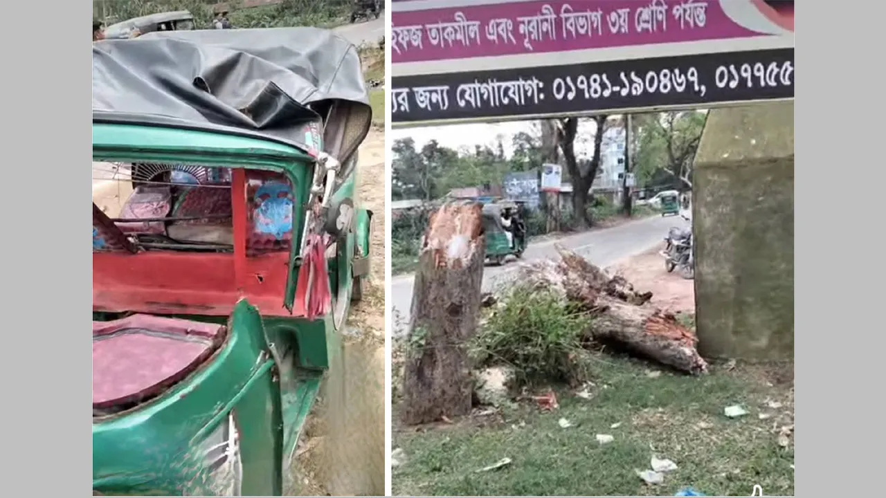 বড়লেখায় চলন্ত অটোরিকশার ওপর গাছ পড়ে নিহত ১, আহত ২