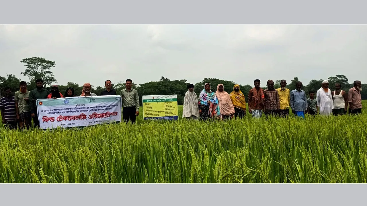 মুলাদীতে কৃষি ক্ষেত্রে নতুন সংযোজন ব্রি ধান ১০২