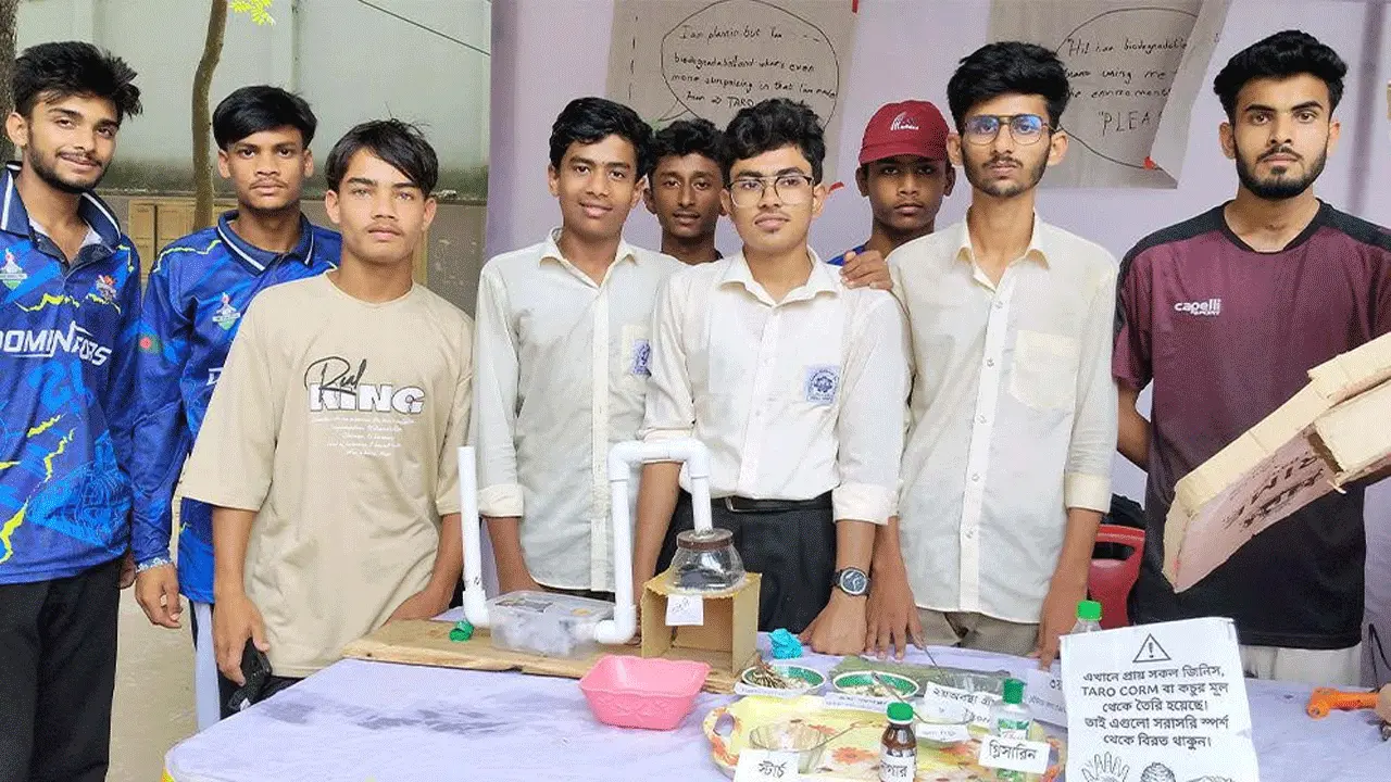 কচুতে মিলল পলিথিনের বিকল্প, তরুণদের উদ্ভাবনে আশার আলো