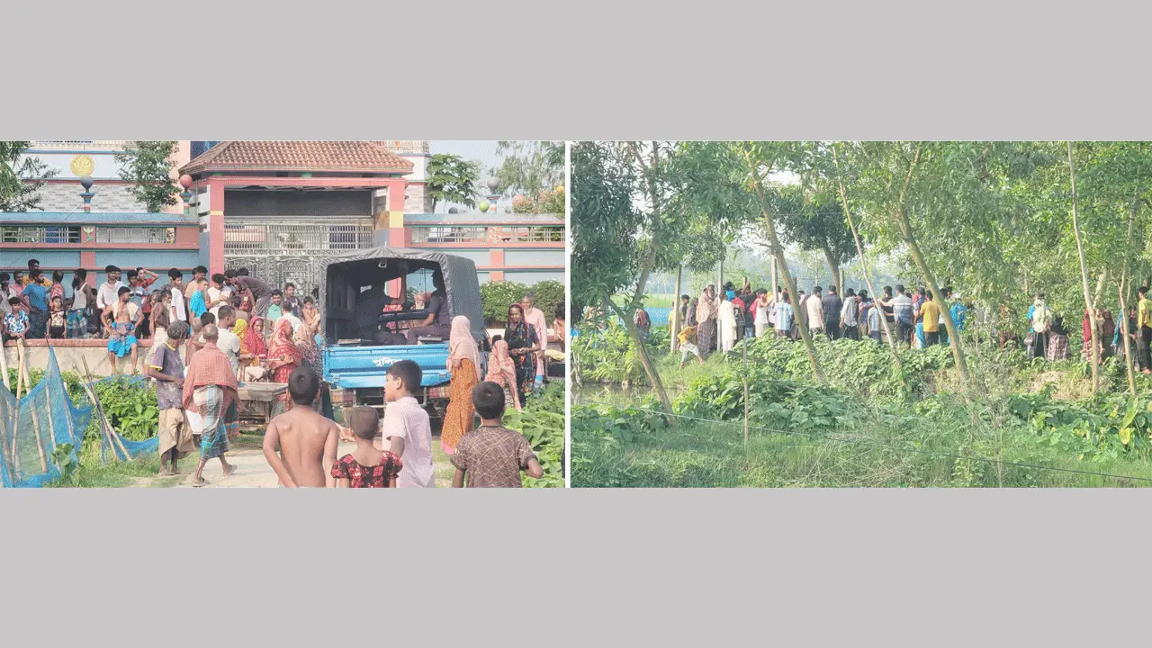 মুক্তাগাছায় বিদ্যুৎস্পৃষ্ট হয়ে শিশুর মৃত্যু